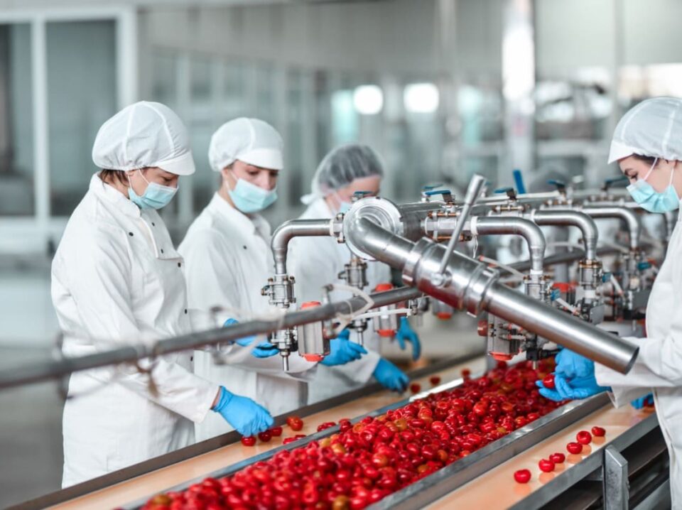 vetements-agroalimentaire